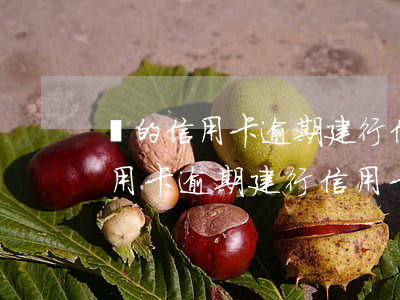 別的信用卡逾期建行信用卡被凍結-別的信用卡逾期建行信用卡被凍結怎么辦
