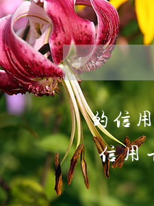 別的信用卡逾期影響其他的嗎(別的平臺逾期對信用卡有沒有影響)