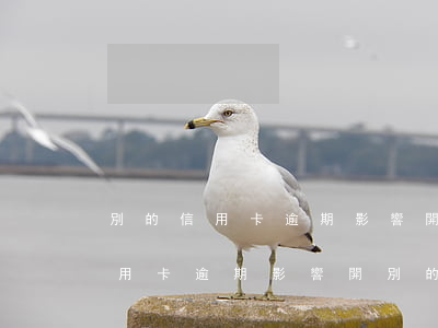 別的信用卡逾期影響開別的信用卡-別的信用卡逾期影響開別的信用卡嗎