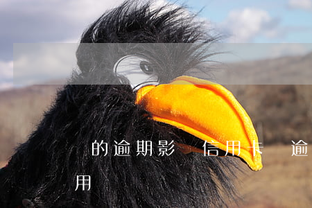 別的逾期影響信用卡嗎(逾期會影響信用卡使用嗎)