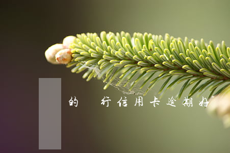 別的銀行信用卡逾期(好幾個銀行信用卡逾期)