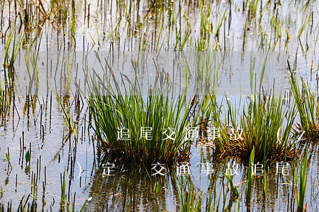 別車追尾交通事故責(zé)任認(rèn)定書(交通事故追尾責(zé)任認(rèn)定圖解)