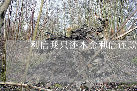 利信我只还本金(利信还款能减免)