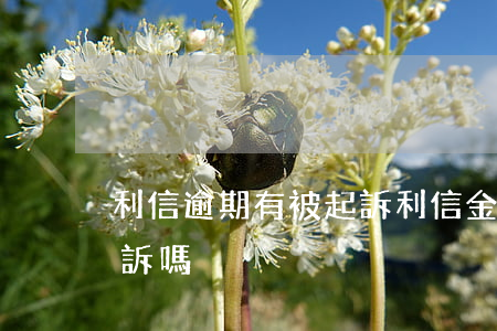 利信逾期有被起訴(利信金融會(huì)起訴嗎)