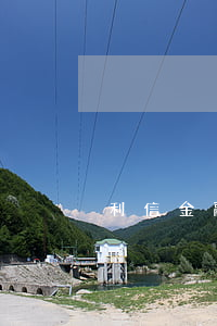 利信金融貸款逾期一天(信用貸款逾期一天)