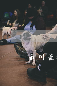 利川最好的律師(利川律師事務所法律咨詢)