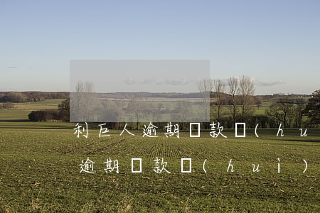 利巨人逾期還款會(huì)怎么樣(利巨人逾期還款會(huì)怎么樣)