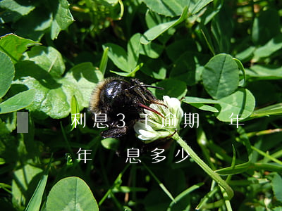 利息3千逾期兩年會漲多少(貸款3萬逾期兩年罰息多少)