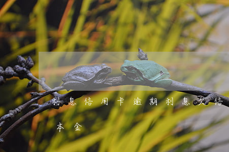 利息信用卡逾期利息(欠信用卡逾期利息超過本金)