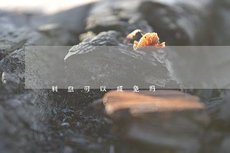 利息可以减免吗