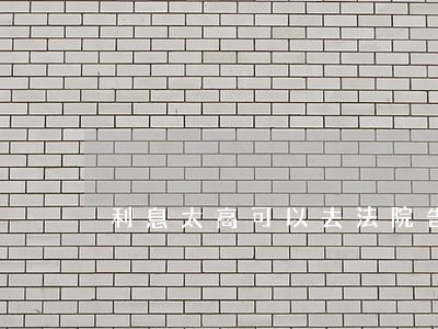 利息太高可以去法院告嗎(法院支持多高利息)