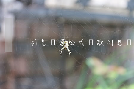 利息計算公式(貸款利息計算公式表)