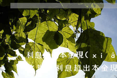 利息超出本金現(xiàn)在無力償還怎么辦-利息超出本金現(xiàn)在無力償還怎么辦呢