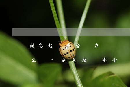 利息超過本金無力償還應(yīng)該怎么辦-利息超過本金無力償還應(yīng)該怎么辦呢