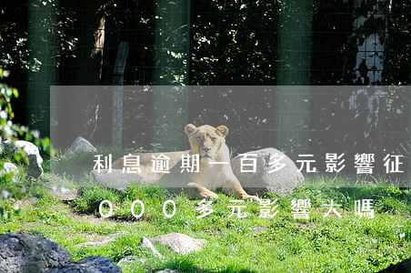 利息逾期一百多元影響征信嗎-征信逾期2000多元影響大嗎