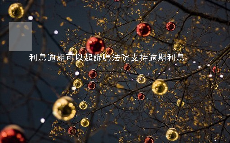 利息逾期可以起訴嗎（法院支持逾期利息）