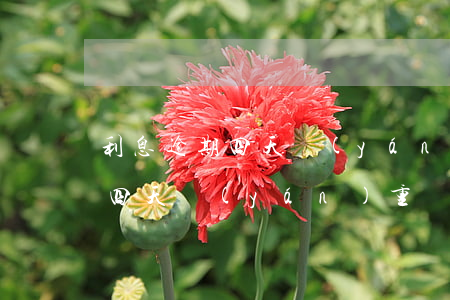 利息逾期四天嚴(yán)重嗎-利息逾期四天嚴(yán)重嗎