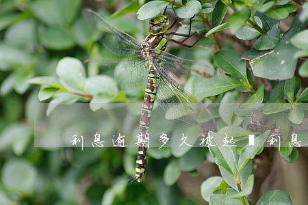 利息逾期多久被起訴(利息逾期多久可以起訴)