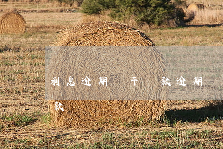 利息逾期屬于貸款逾期嗎(利息逾期算逾期貸款嗎)