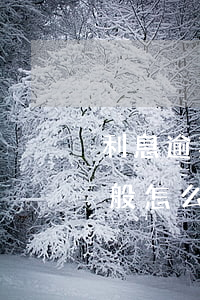 利息逾期怎么協(xié)商-逾期利息一般怎么約定