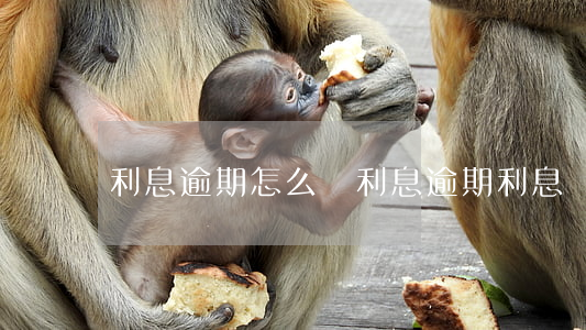 利息逾期怎么還(利息逾期利息)