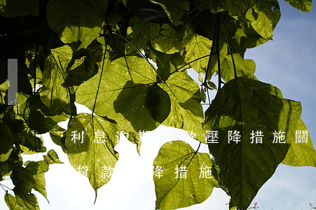 利息逾期貸款壓降措施(關(guān)注類貸款壓降措施)