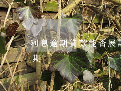 利息逾期貸款能否展期(利息逾期貸款能否展期)
