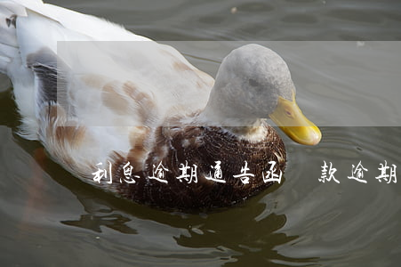 利息逾期通告函(貸款逾期發(fā)通告函)