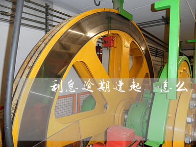 利息逾期遭起訴怎么辦(利息逾期多久可以起訴)