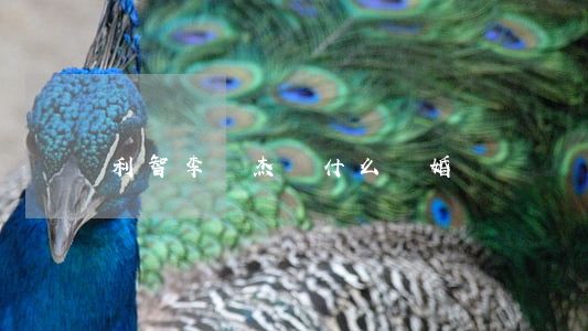 利智李連杰為什么離婚