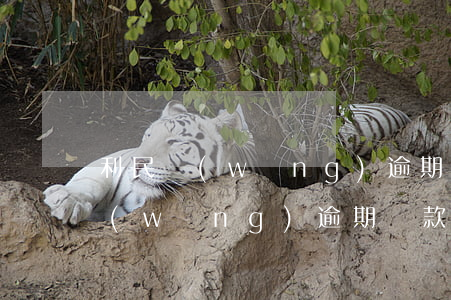 利民網(wǎng)逾期還款怎么辦(利民網(wǎng)逾期還款怎么辦)
