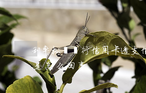 利率松綁銀行信用卡透支(信用卡的透支利率是怎么回事)