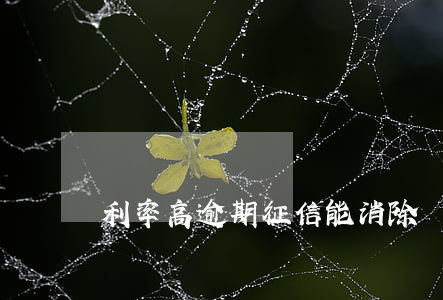 利率高逾期征信能消除嗎