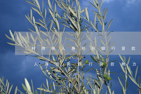 利用他人身份向銀行貸款無力償還-利用他人身份向銀行貸款無力償還怎么辦