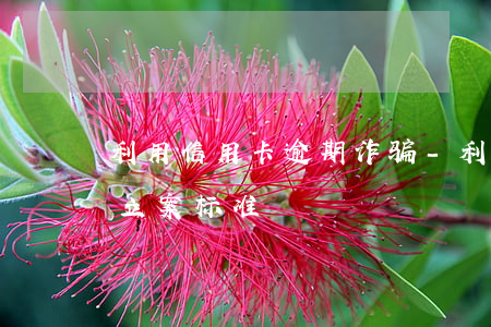 利用信用卡逾期诈骗-利用信用卡逾期诈骗立案标准