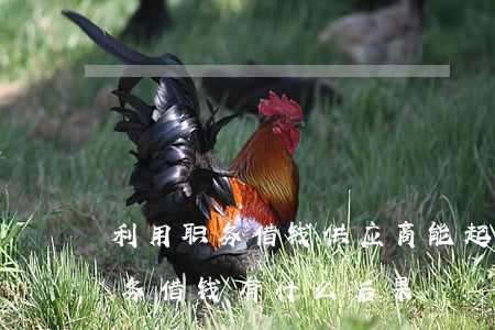 利用职务借钱供应商能起诉要回吗-利用职务借钱有什么后果