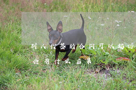 别人代签的合同可以起诉吗(帮别人代签合同会有什么后果)