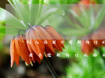 别人信用卡逾期为什么给我发信息-别人信用卡逾期为什么给我发信息呢