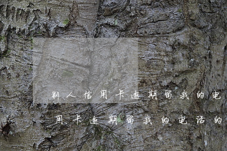 别人信用卡逾期留我的电话的危害-别人信用卡逾期留我的电话的危害有哪些