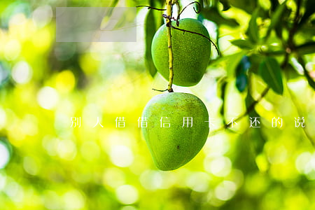 别人借借信用卡不还的说说(别人借我信用卡)