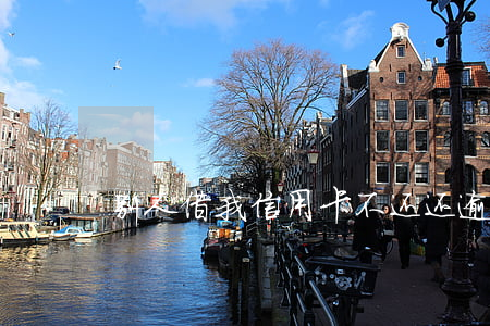 别人借我信用卡不还还逾期