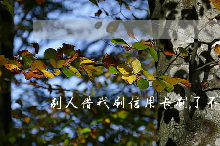 别人借我刷信用卡刷了不还