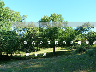 别人办了我的信用卡逾期 曾经有逾期能办信用卡吗
