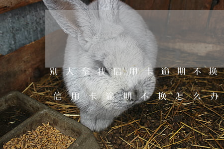 别人拿我信用卡逾期不换怎么办-别人拿我信用卡逾期不换怎么办呢