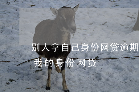 别人拿自己身份网贷逾期(有没有可能别人用我的身份网贷)