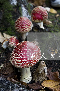 别人欠我1000块钱可以起诉吗