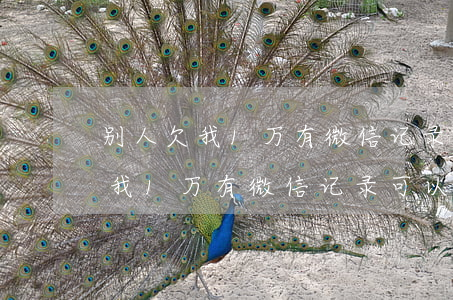 别人欠我1万有微信记录可以起诉-别人欠我1万有微信记录可以起诉吗