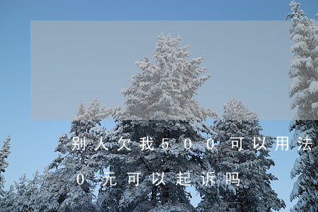 别人欠我500可以用法院吗(别人欠我500元可以起诉吗)