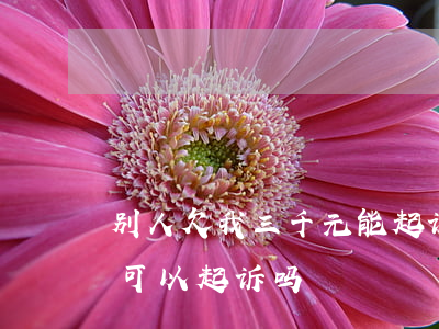 别人欠我三千元能起诉吗(别人欠我三千块钱可以起诉吗)