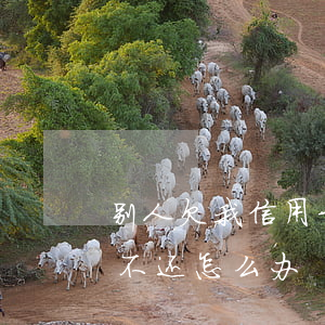 别人欠我信用卡3万(别人欠我信用卡3万多不还怎么办)